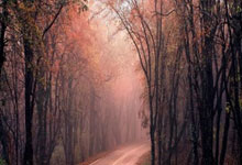 希罗5记三分轰下30分7助攻，多次个人单打为热火成功强解.