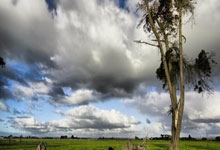 阿尔特塔:当你尝试赢得欧冠和英超时,你需要最好的球员在球场上.