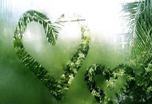 [CBA]拒绝逆转 广东主场胜天津.